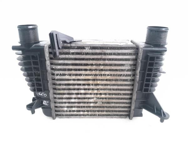 Radiador do intercooler RENAULT Clio III (BR0/1, CR0/1)