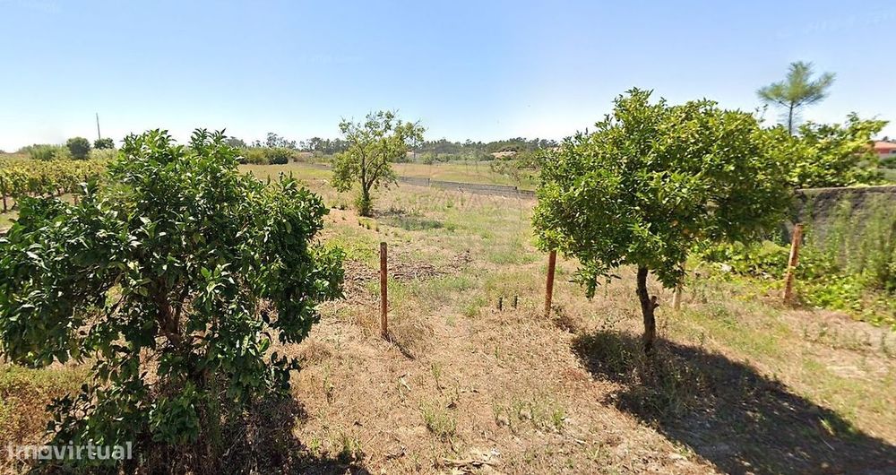 Terreno  para arrendamento