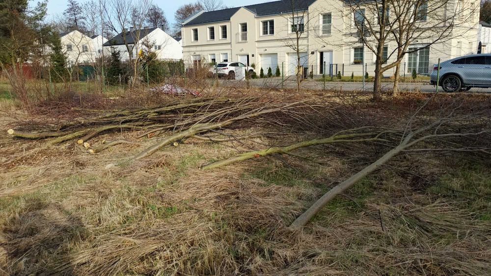 Drewno do oddania (na opal)