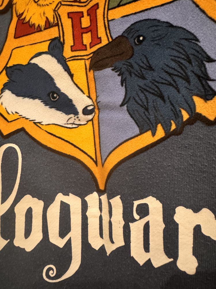 Komplet dresowy Harry Potter