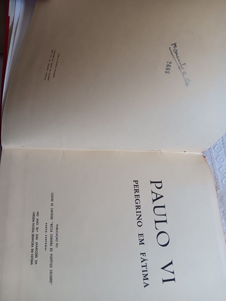 Peregrino em Fátima