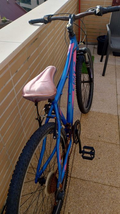 Bicicleta Spitz Terrain 10