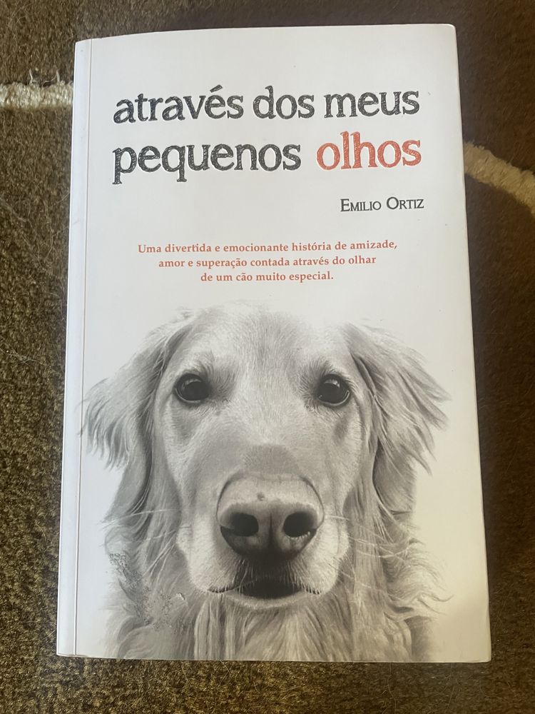 Livro “Através dos meus pequenos olhos”