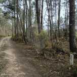 Terreno  para venda