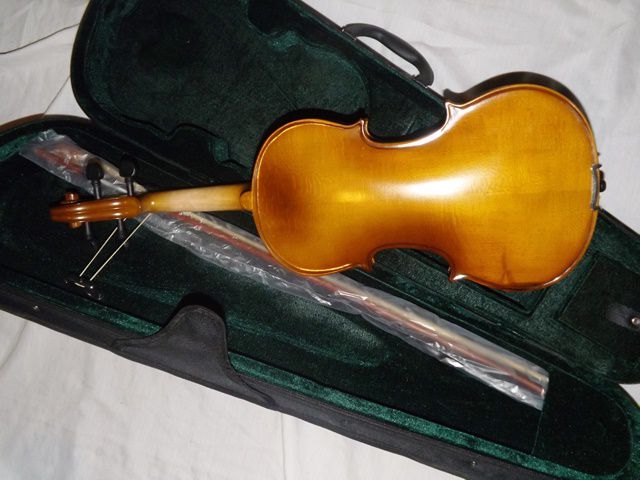 Violino de madeira natural