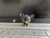 Chihuahua lps pet shop