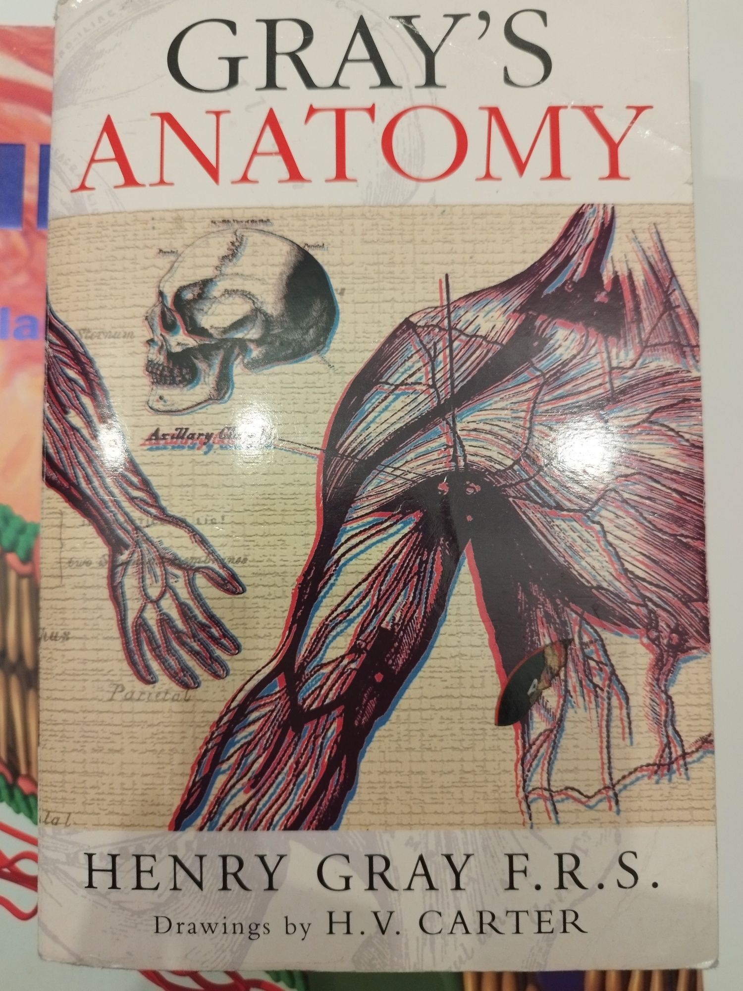 Książka Gray's Anatomy