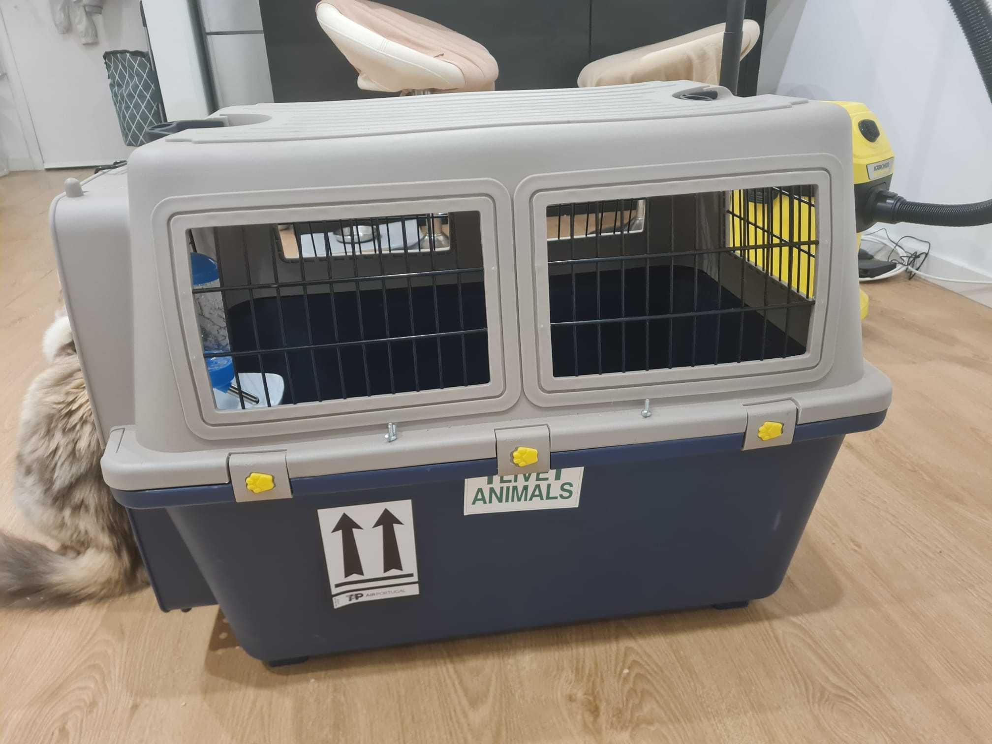 Kennel Dogfly No 5 Novo