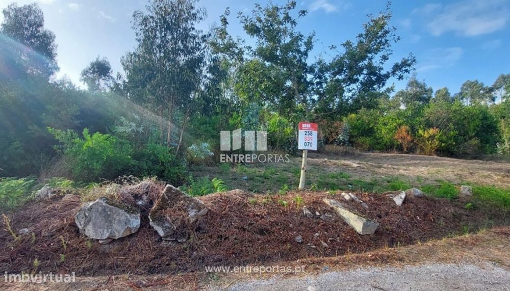 Venda de terreno florestal c/ 12000m², Vila Fria, Viana do Castelo