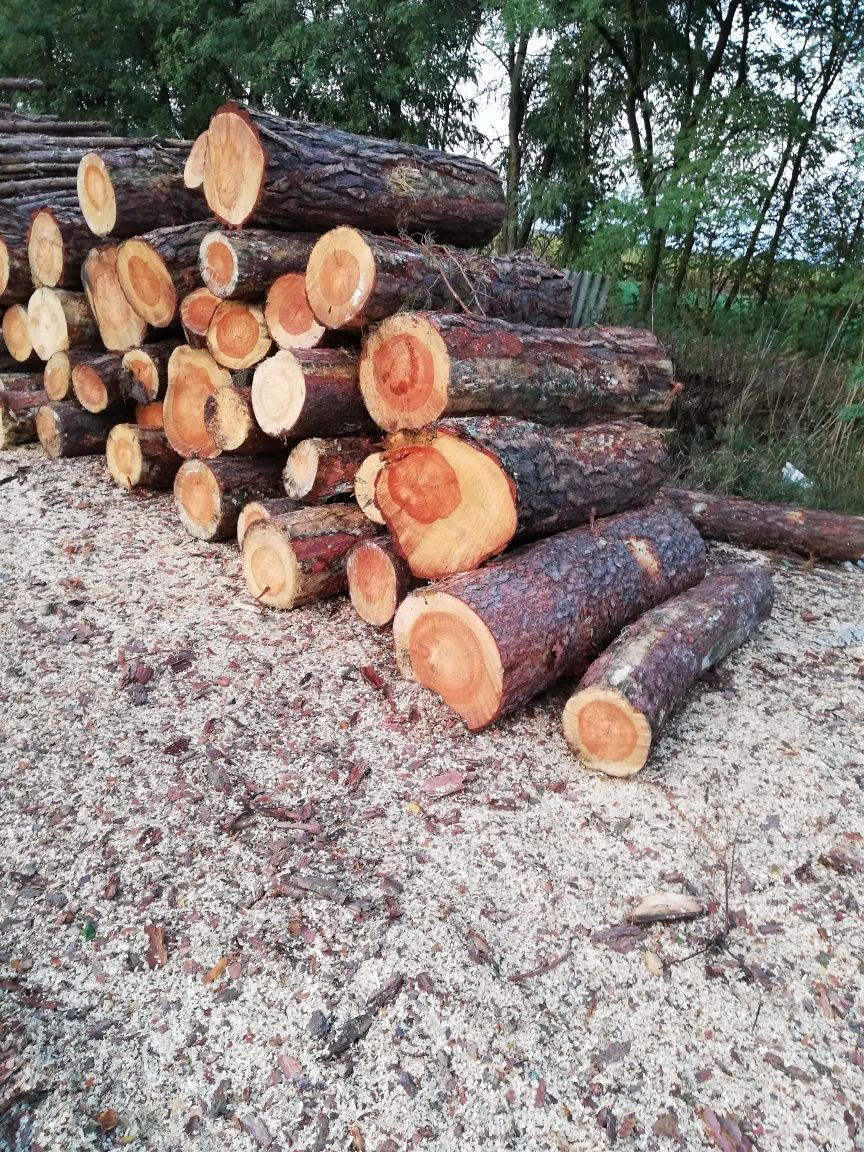 Drzewo opałowe kominkowe podpałkowe