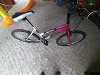Bicicleta quadro feminino Wheel Worx