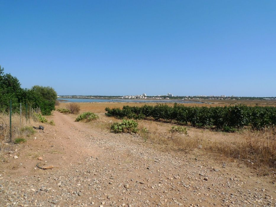 Tranquila Herdade/Quinta Torre do Sobral