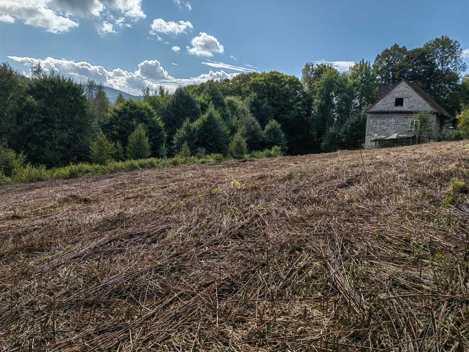 Dom do remontu z 30 arową działką