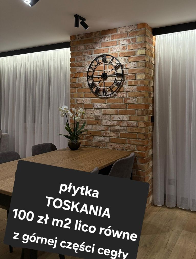 PROMOCJA Cegła na ścianę płytki z cegły LOFT dekoracyjna elewacja