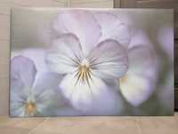 Obraz ikea kwiat 78 x 118 cm