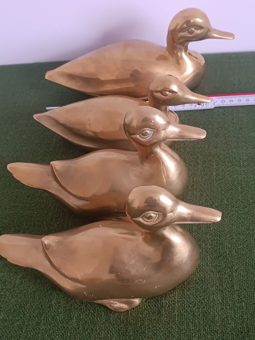 Mosiężne duże kaczki