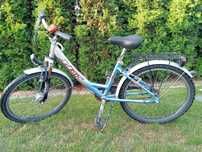 Rower Pegasus 24