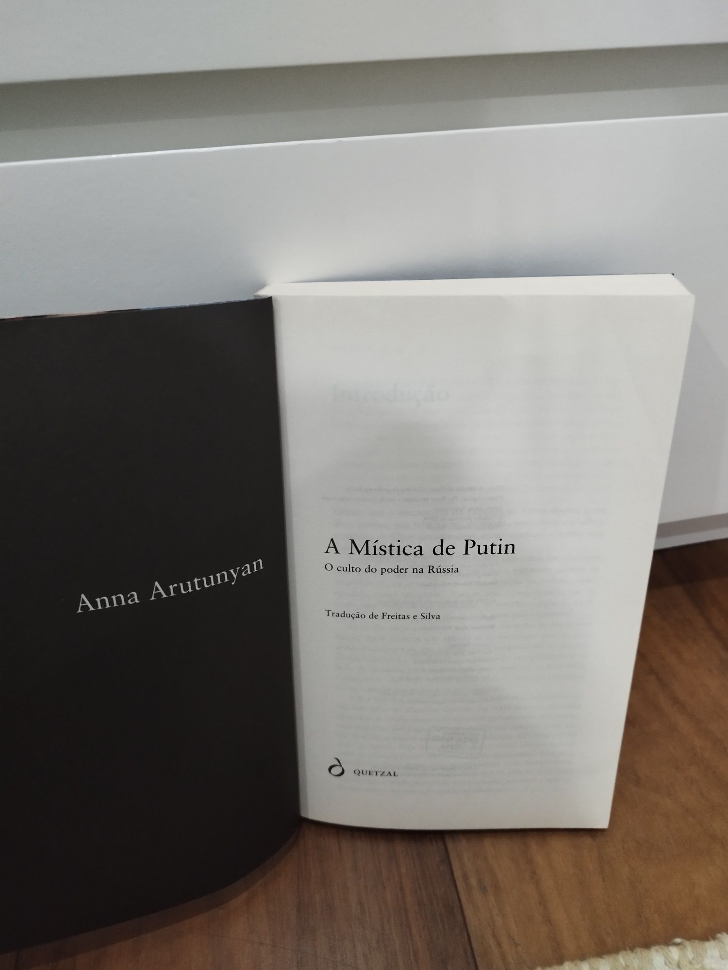 A mística de Putin - Ann Arutunyan