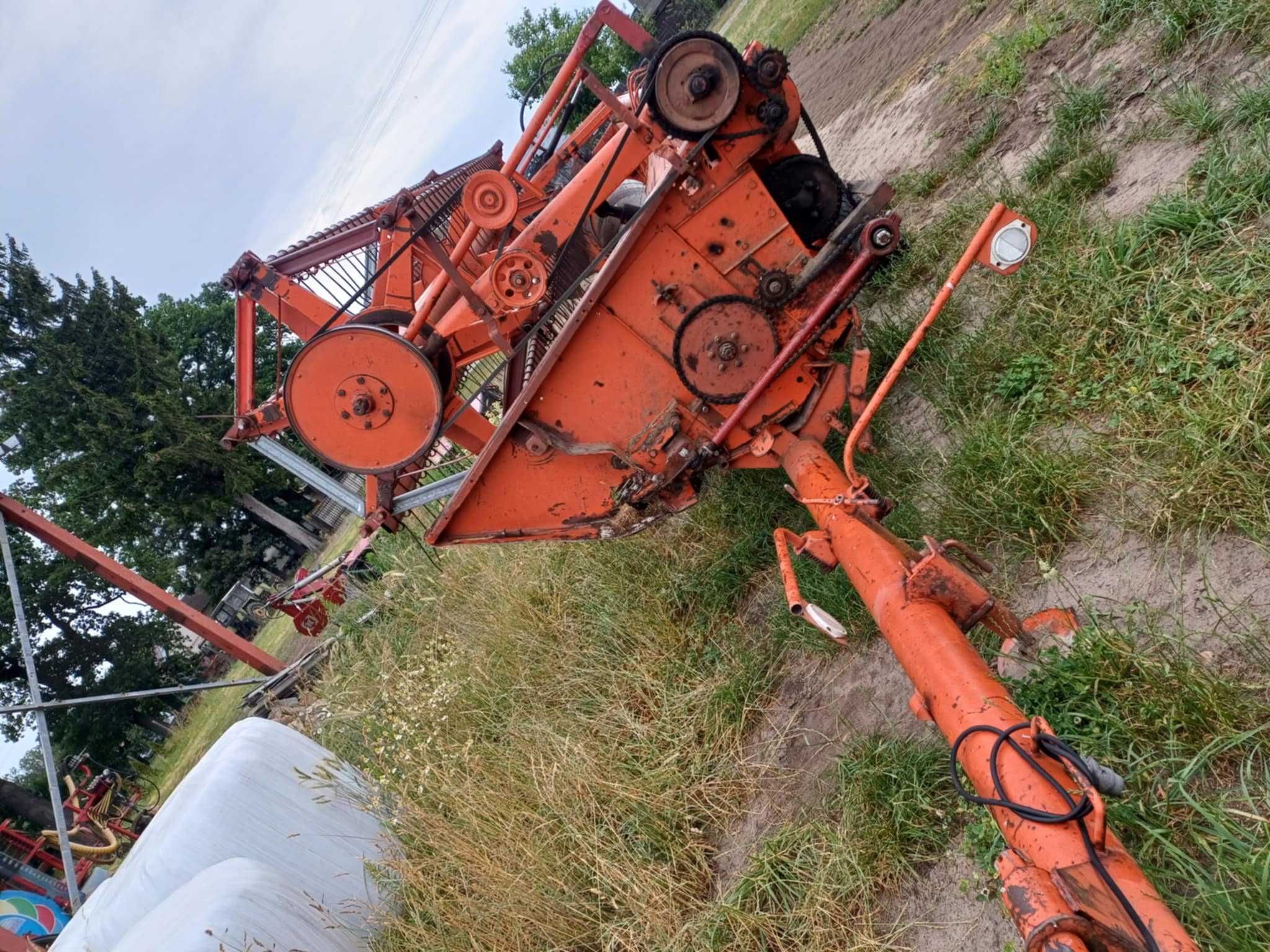 Bizon rekord Z058