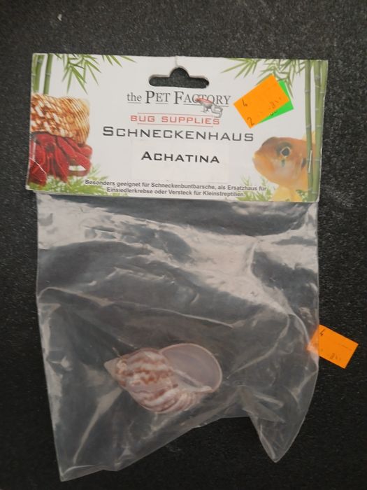 Muszelka do akwarium