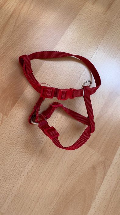 Szelki dla psa kota 20-32cm Guard firmy Trixie dla małego szczeniaka