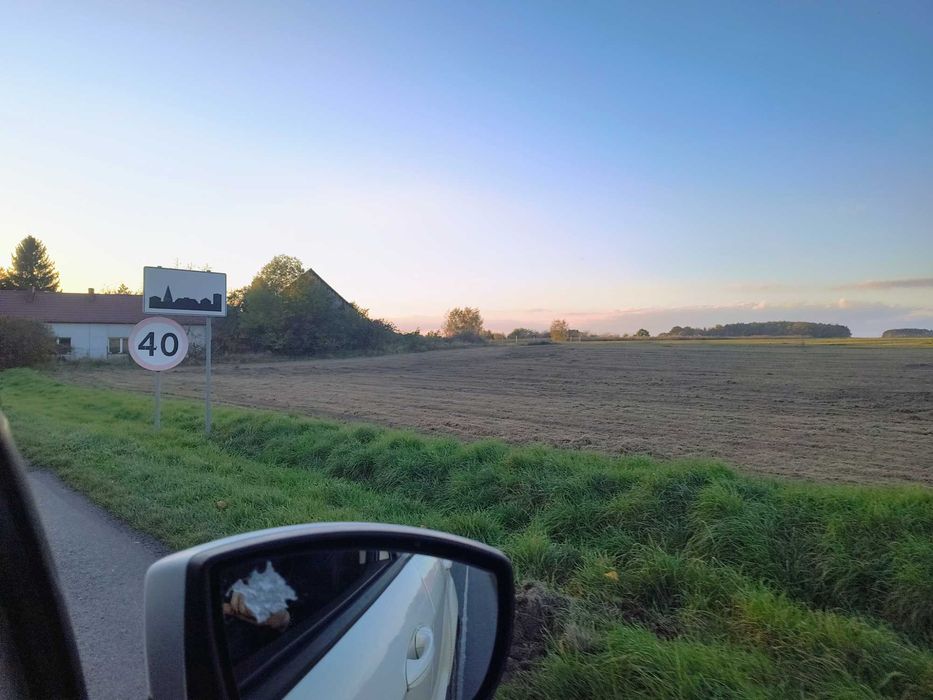 DZIAŁKA DO WYNAJĘCIA – 22 ary – Klępsk k. Sulechowa / przy DW 304