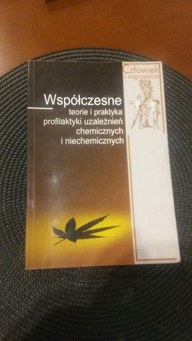 Jędrzejko Mariusz Współczesne teorie