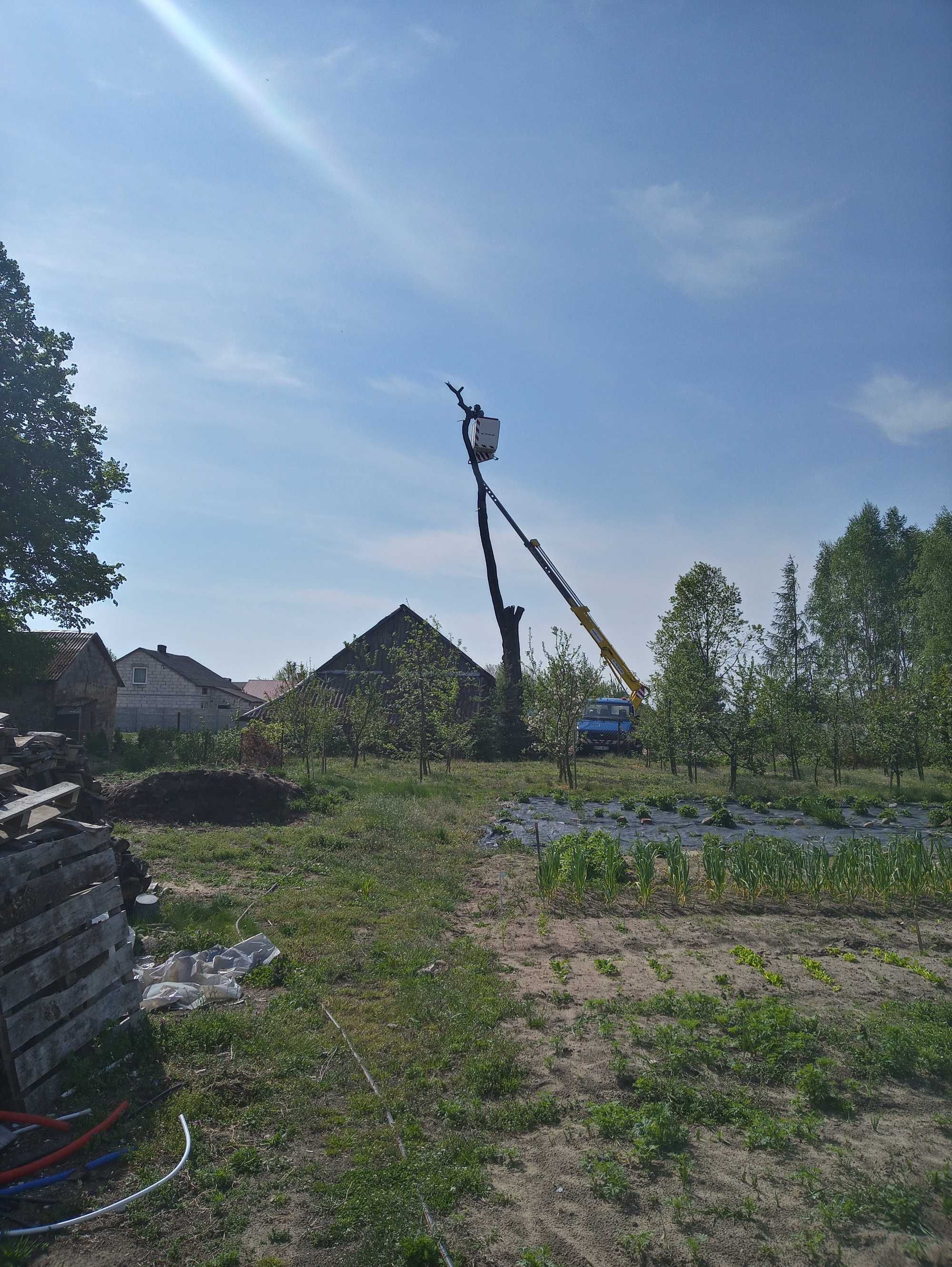 Podnośnik koszowy usługi i wynajem