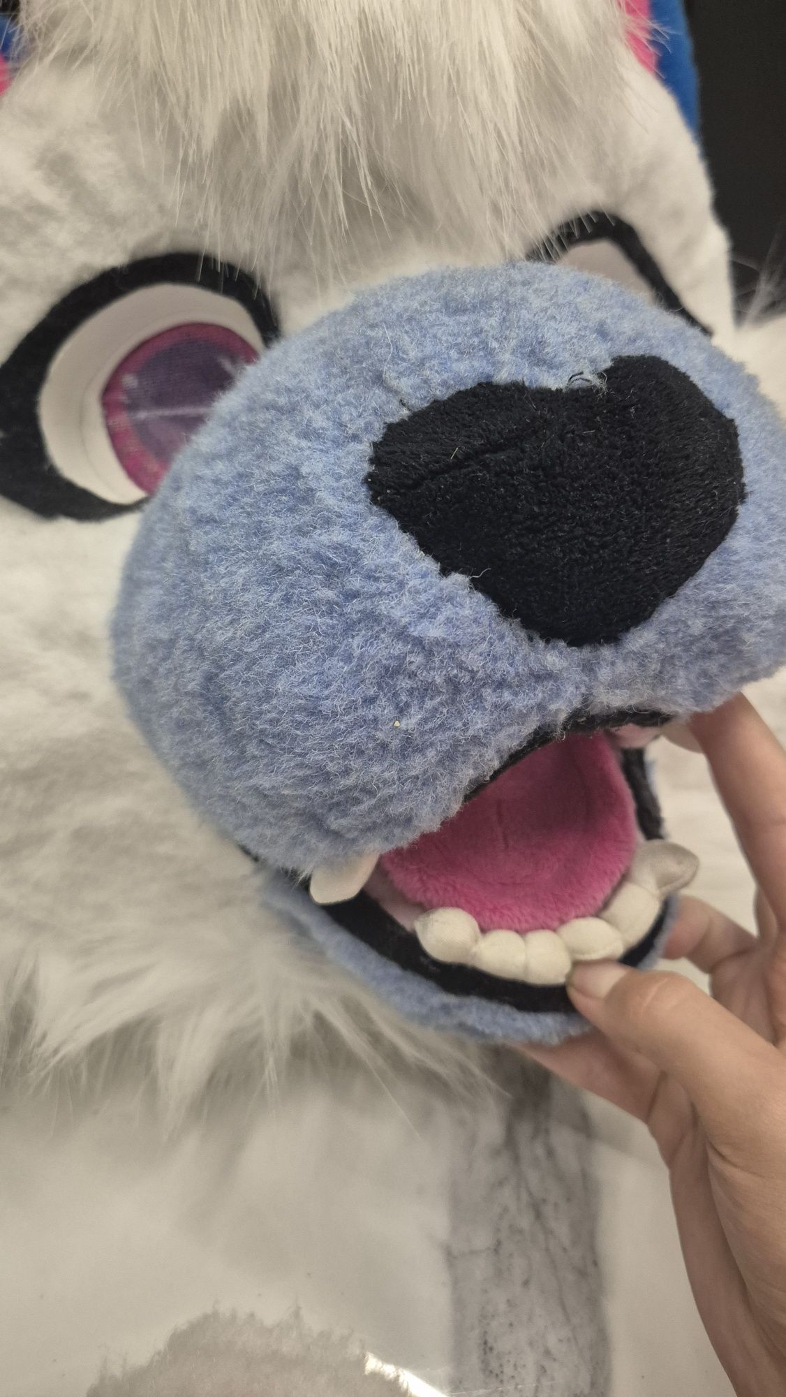 Furry kot z łapami