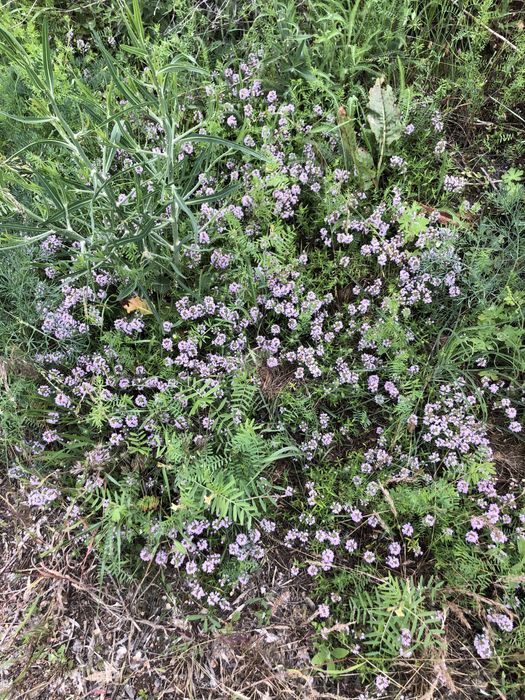 Сіль для ванни «Тихий вечір»