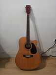 Harley Benton  D-120CE