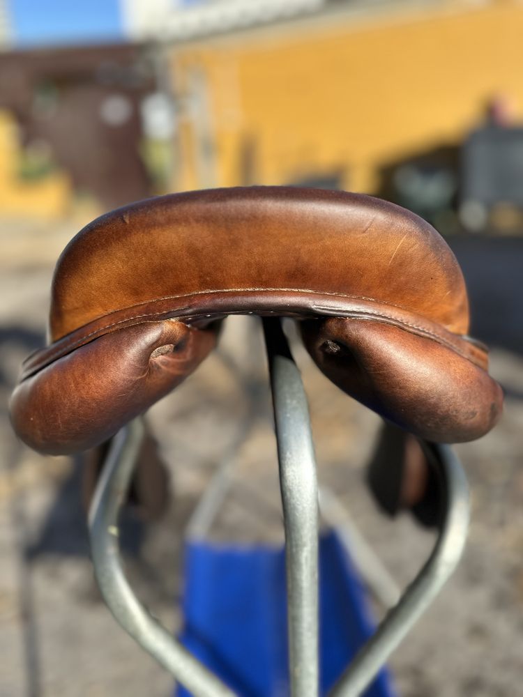 Sela Sabino Pro