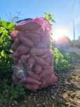 Temos batata doce, batatas agrias para cozer e fritar cebola