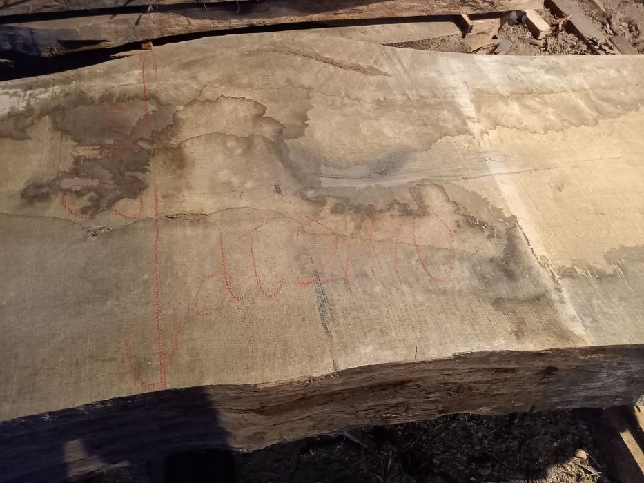 Monolity, blaty, bale dębowe