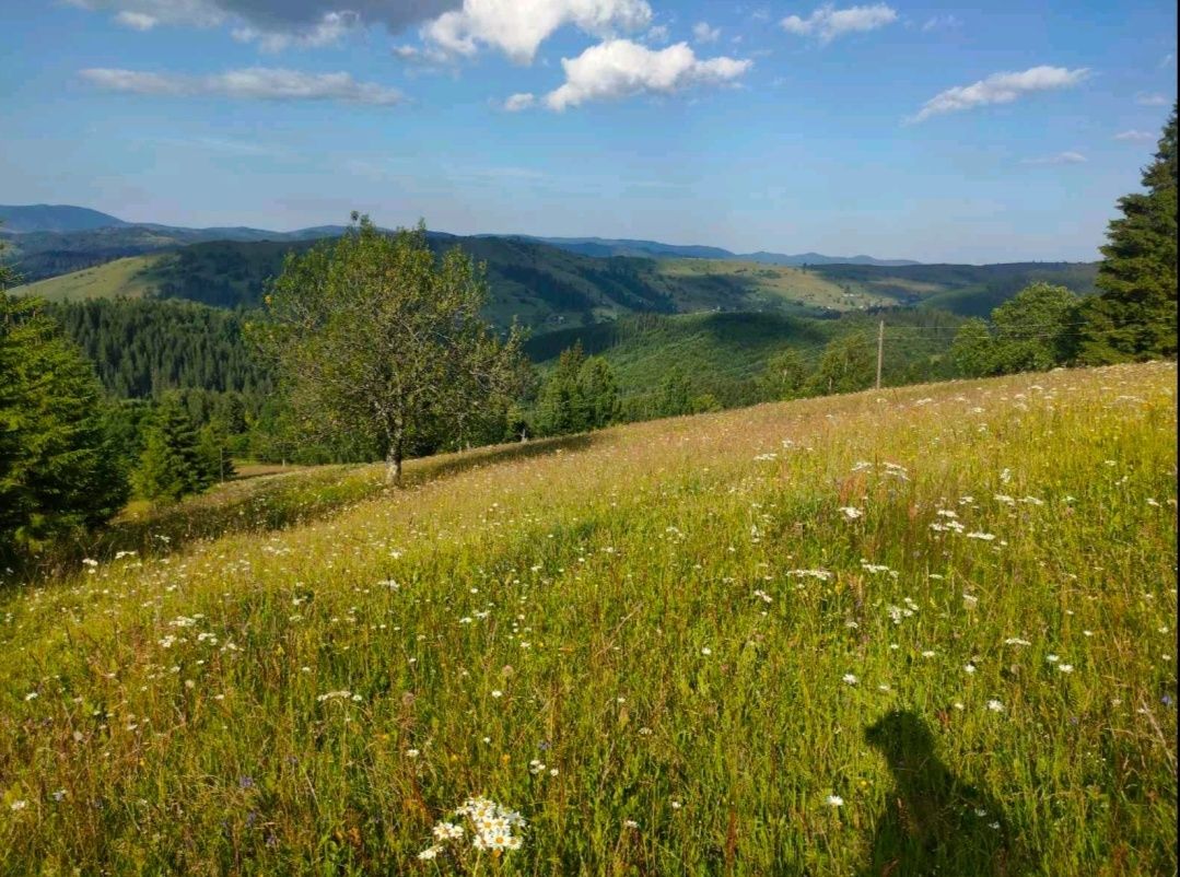 Продам земельну ділянку площею 1.25га  у горах Карпатах ціна за соту..