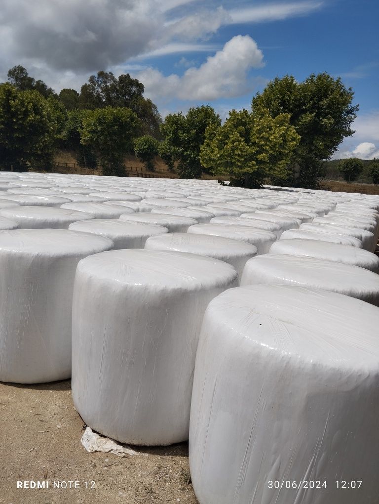 Bolas de feno silagem de azevém