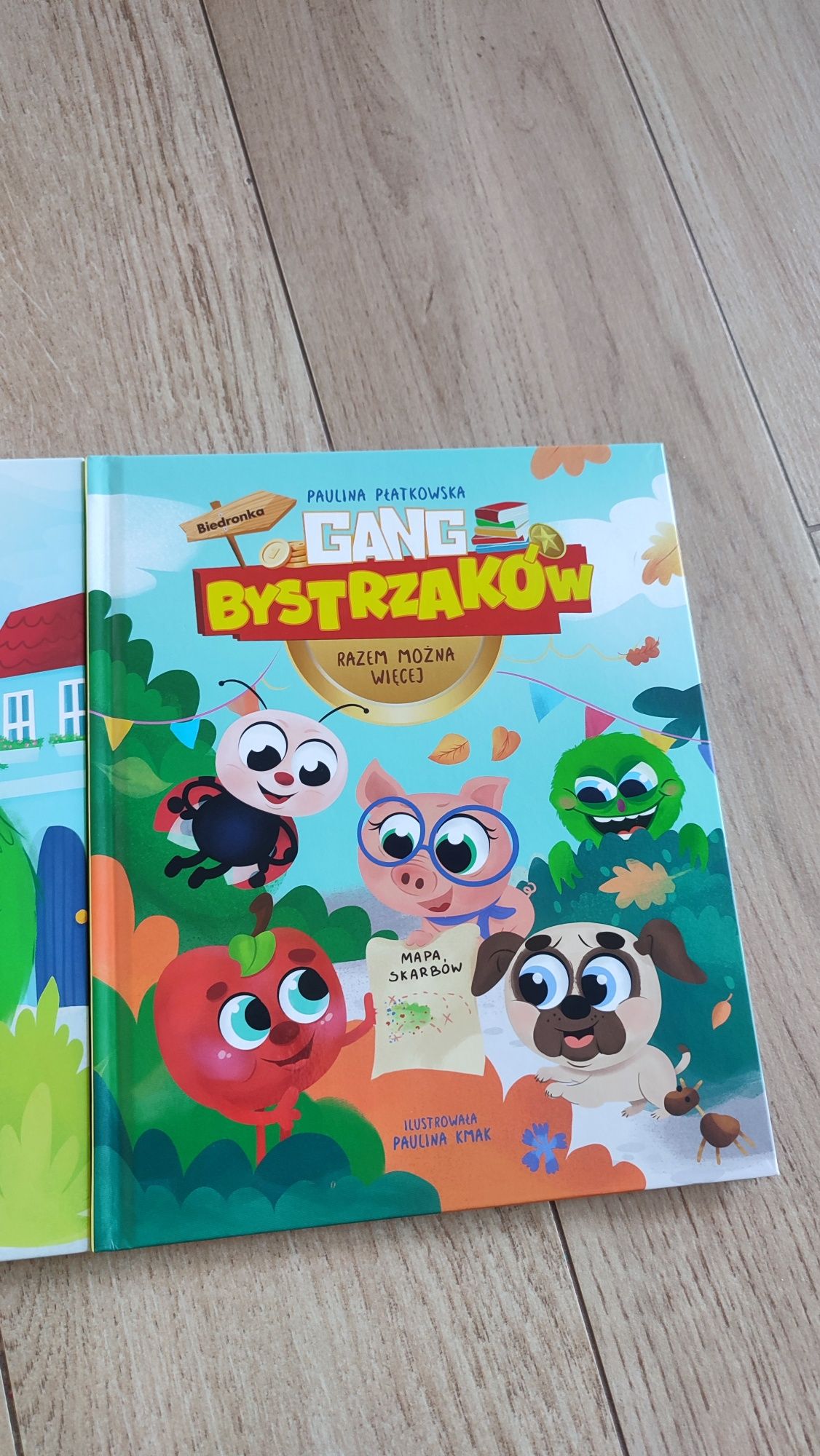 Książka książki Gang Bystrzaków Biedronka