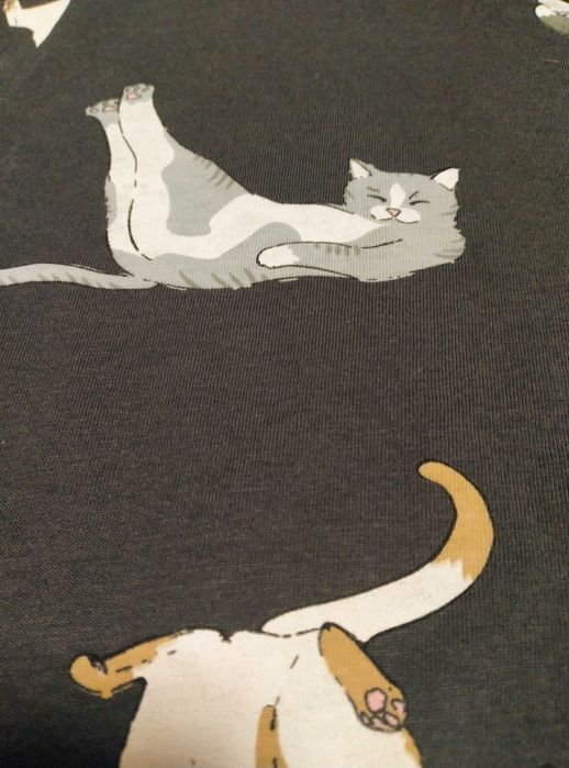 Bluzka T-shirt House Brand r.XS damska koty