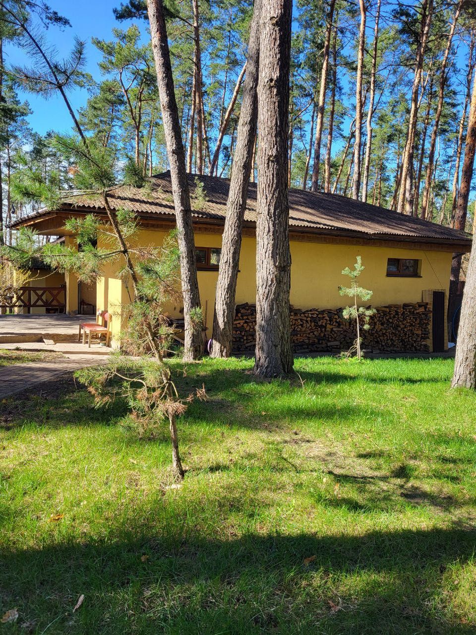 Будинок біля води серед соснового лісу