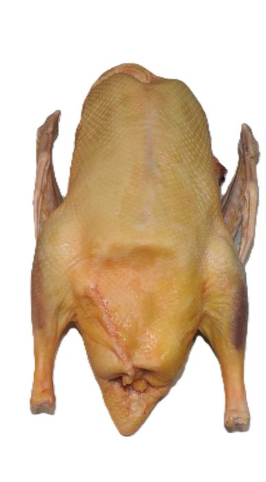 Sprzedam tuszki gęsi