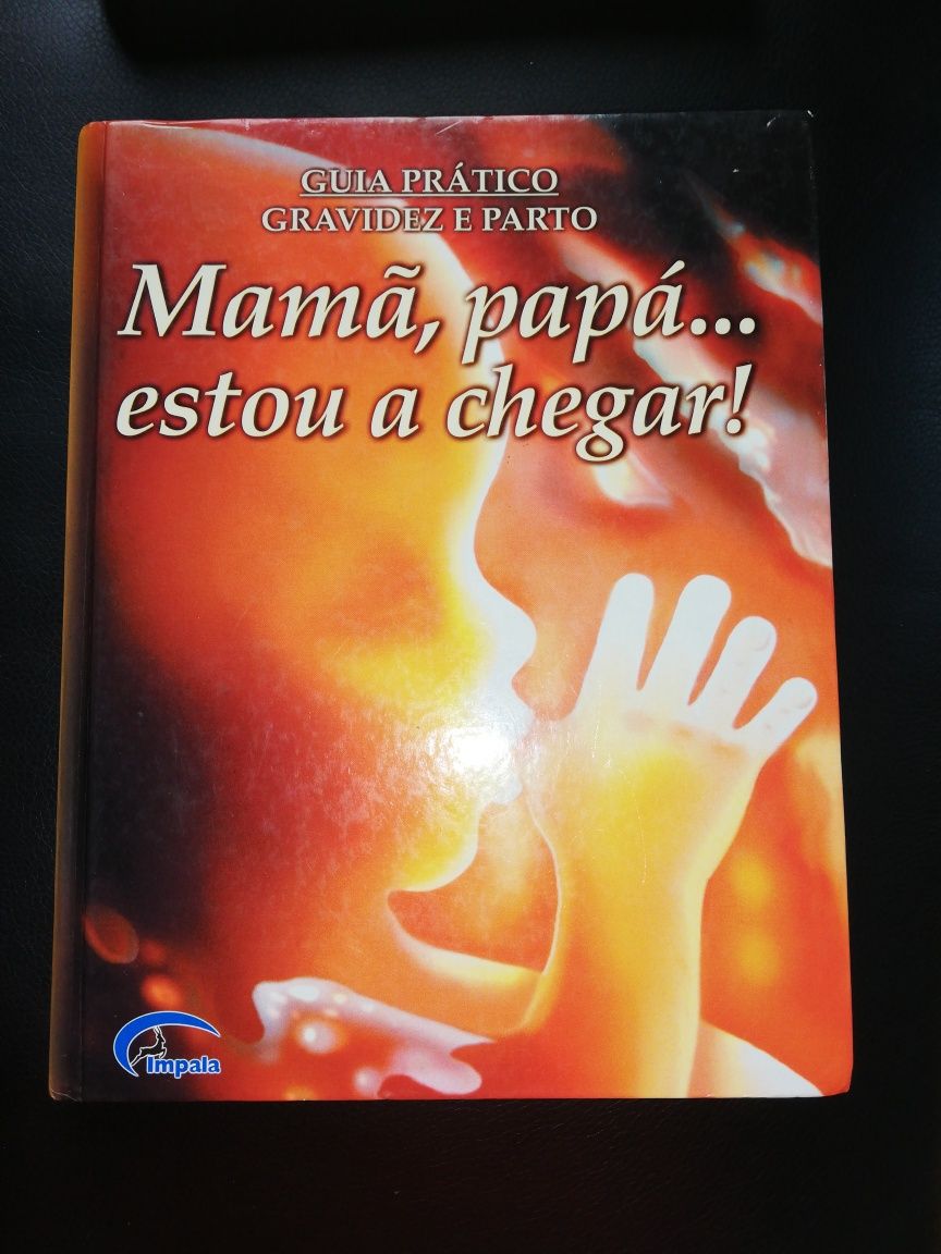 Livro gravidez e parto