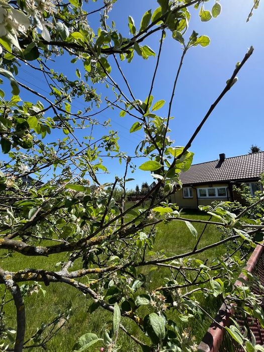 Sprzedam dom z działką