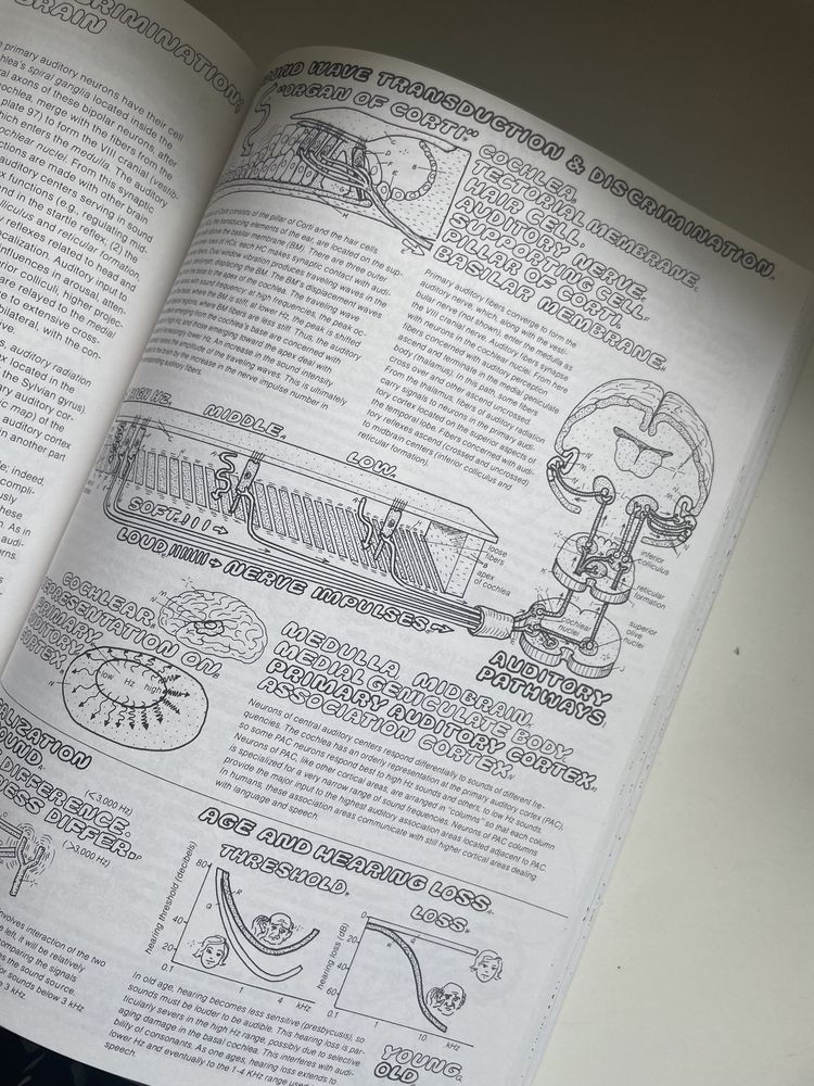 Physiology coloring book, książka do kolorowania po angielsku