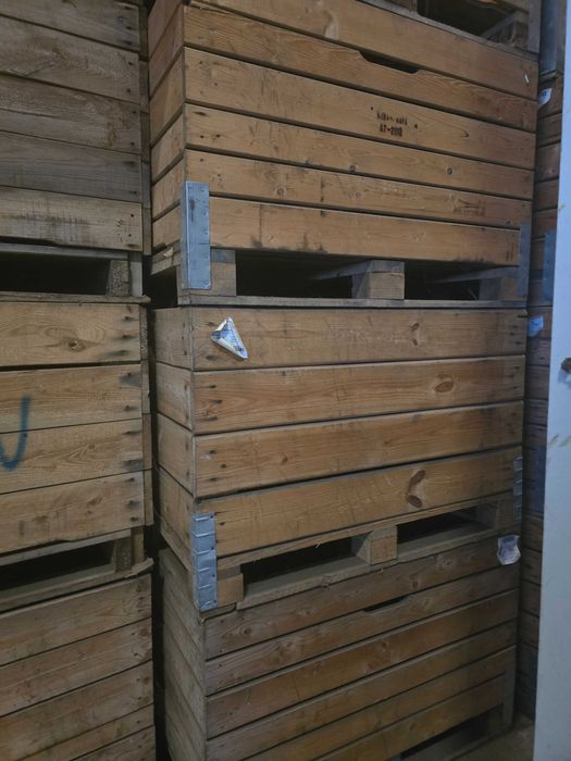 Skrzyniopalety na jabłka