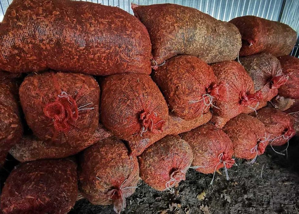 Zrębka w workach z drewna liściastego bez liści