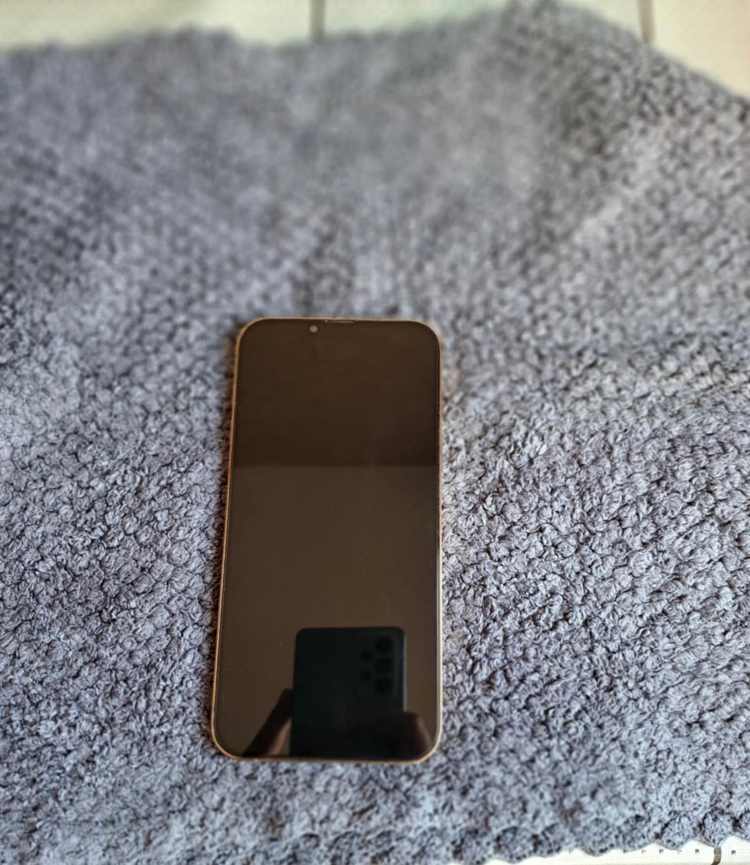 Iphone 13 Pro Max 256gb