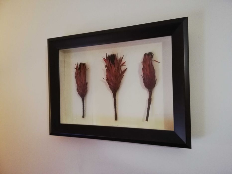 Quadro Decoração Flores Laranja