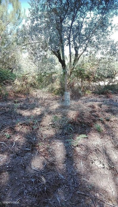 Terreno  para venda