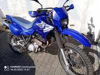 Xt 600E Yamaha ZAMIANA