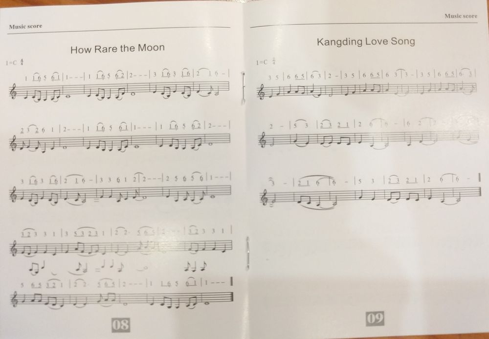 Handpan Steel Tongue